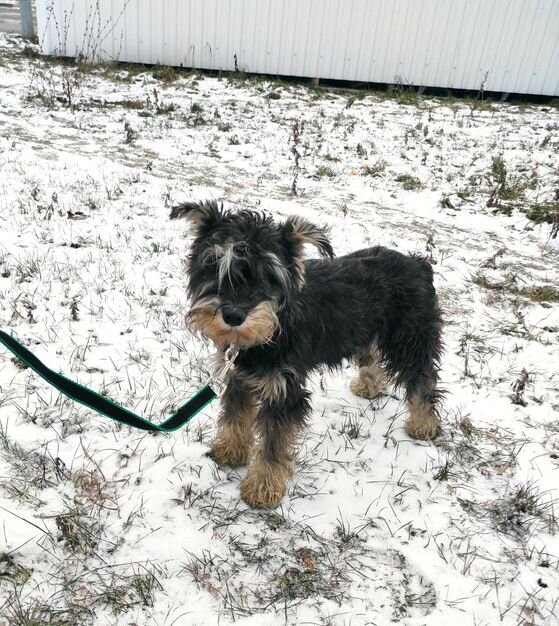На первом "выпасе" после прибытия