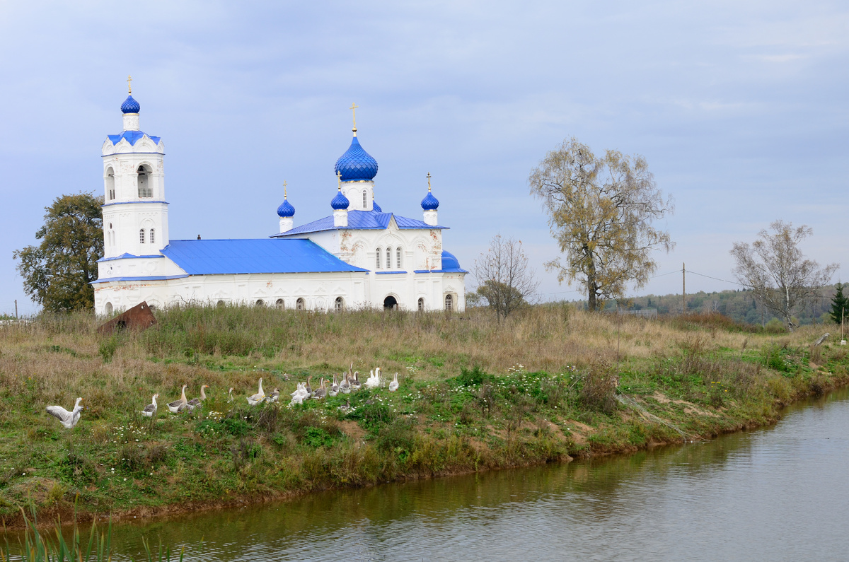 фото из открытого доступного источника сети интернет