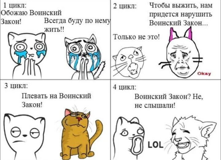 Мемы с котами воителями на русском языке