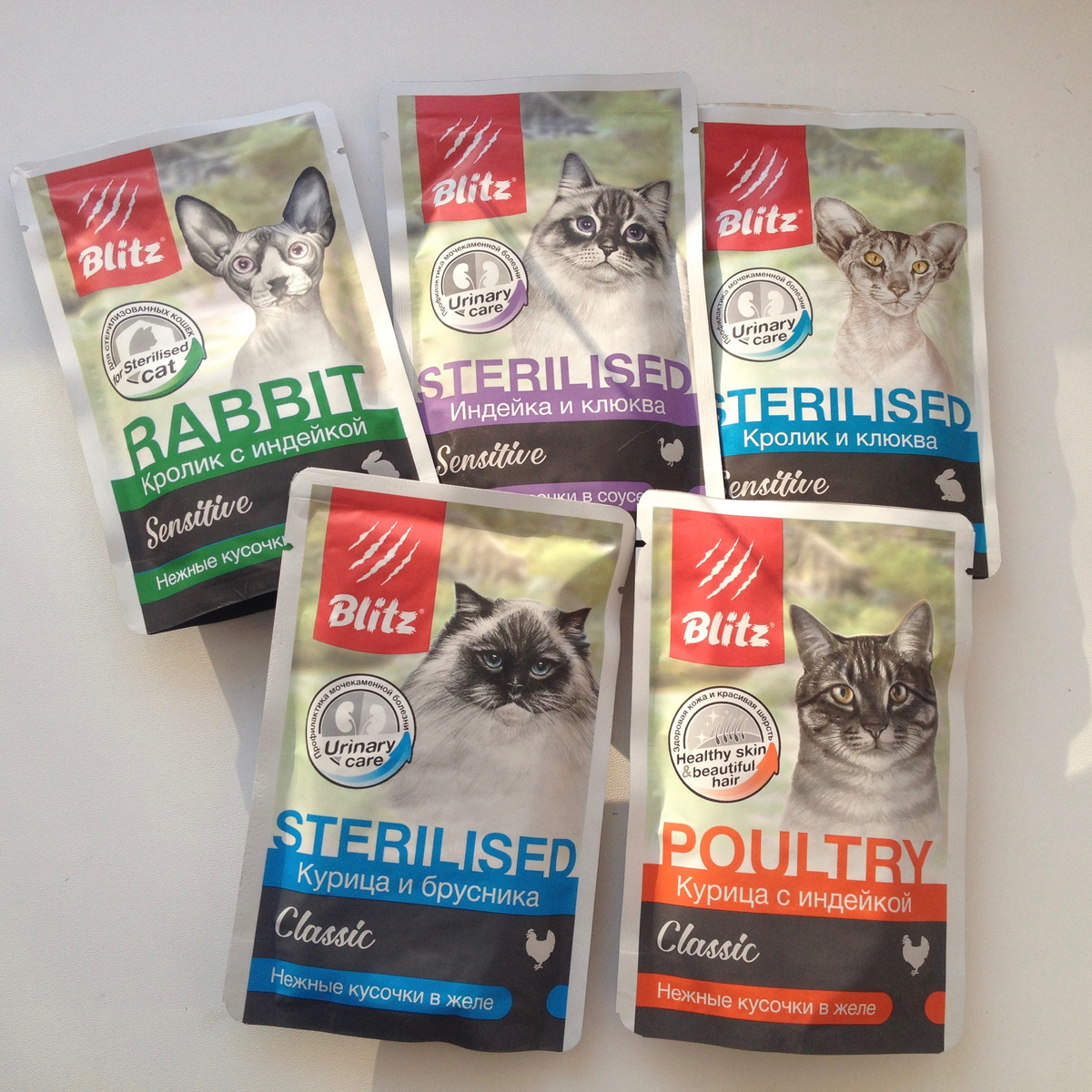 Отдельного внимания заслуживают мордочки кошек! Каждая из них - это что-то с чем-то)