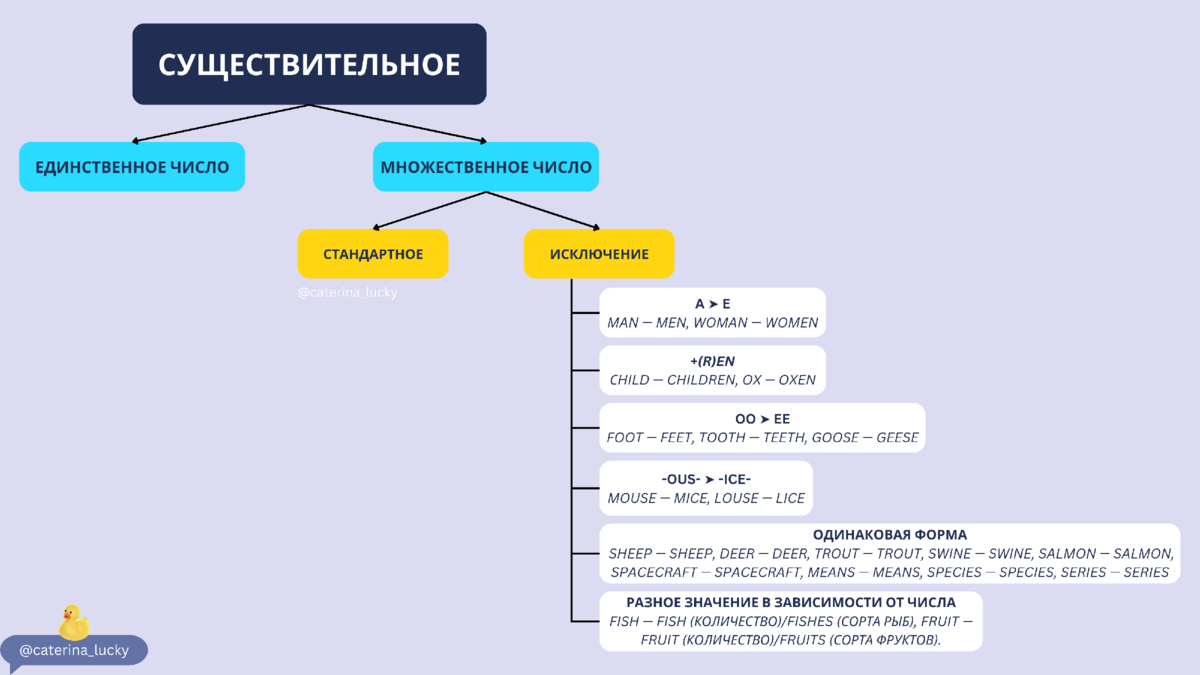 19 задание егэ русский язык. Знаки препинания в сложноподчиненном предложении егэ. Егэ задание 19 практика. 19 задание огэ математиуа. Задания на расстановку знаков.