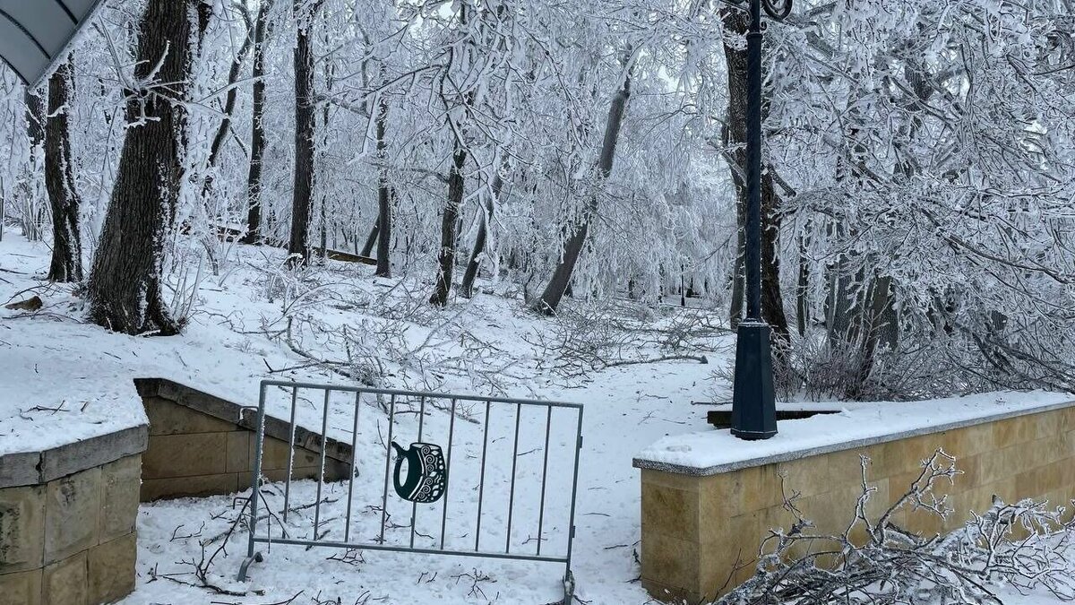     В Железноводске продолжается уборка упавших в Курортном парке деревьев, сообщили в городской администрации.
