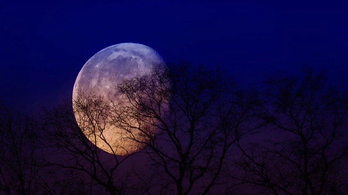 Фото: pxhere.com