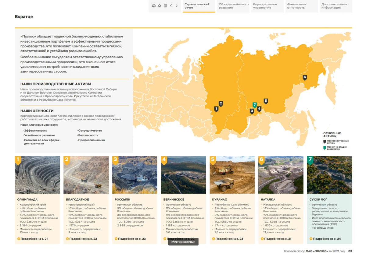 Полюс проект закупки