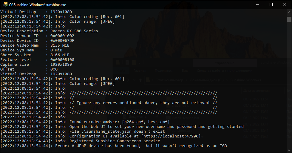 Так выглядит запущенный скрипт