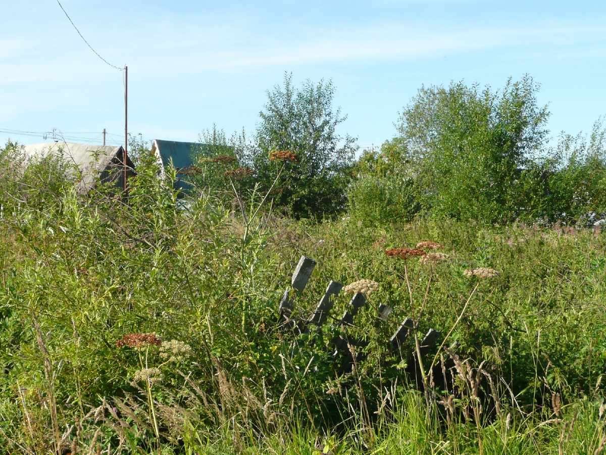 Фото из интернета