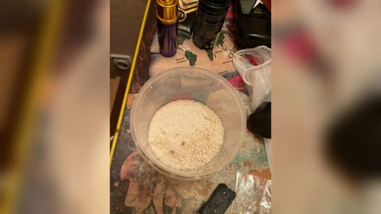    В Оренбурге задержан 20-летний наркосбытчик с крупной партией метилэфедрона Марина Шарт