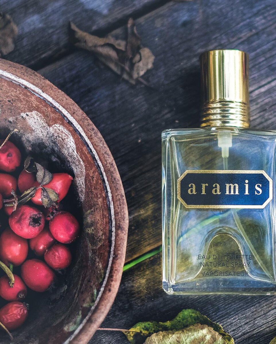 ВЕРХ:  Альдегиды, Мирра, Артемизия, Клевер, Чабрец, Бергамот, Гардения 

СЕРЕДИНА: Пачули, Шалфей, Жасмин, Кардамон, Корень ириса

БАЗА: Кожа, Дубовый мох, Мускус, Ветивер, Сандал, Амбра, Кокос