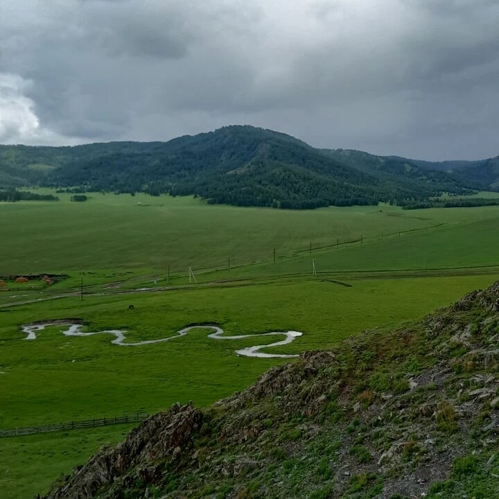 Фото автора.