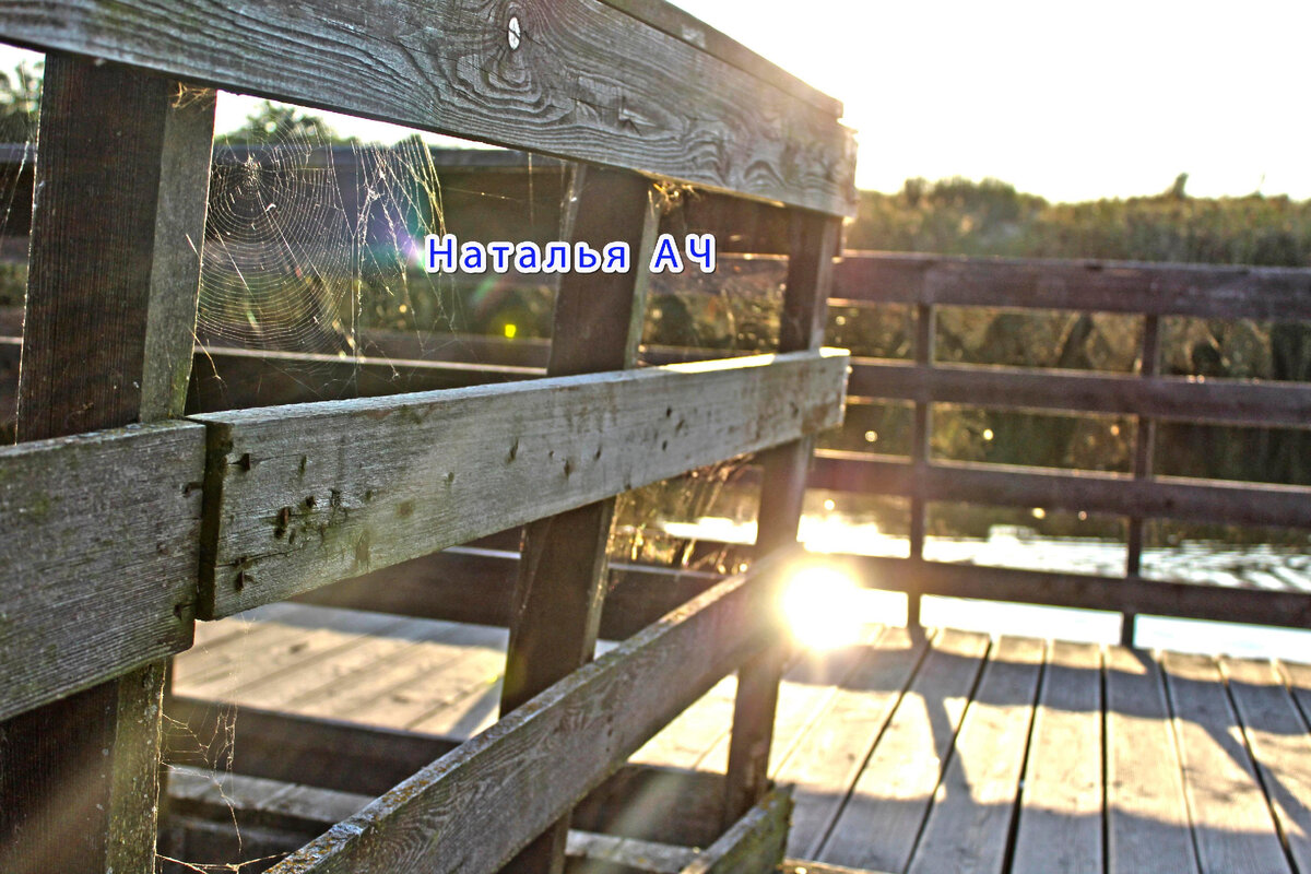 Моя личная фотография