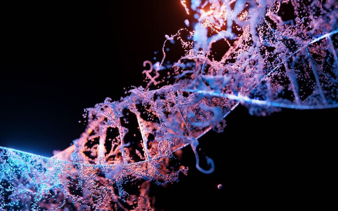   Unsplash