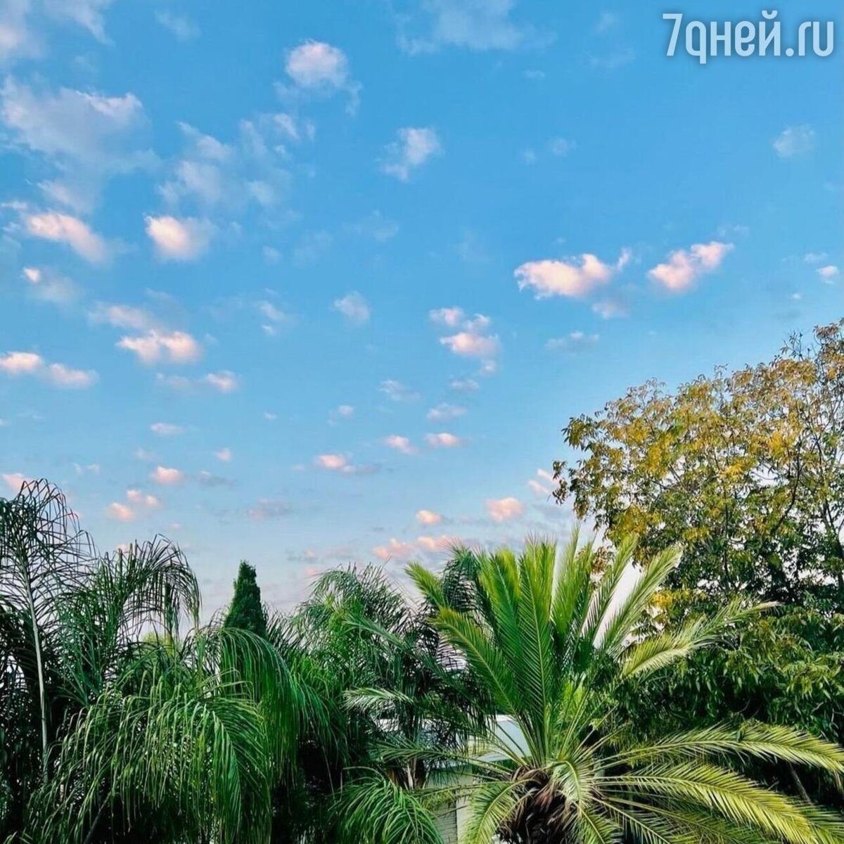    Вид из окна Пугачевой в Израиле соцсети