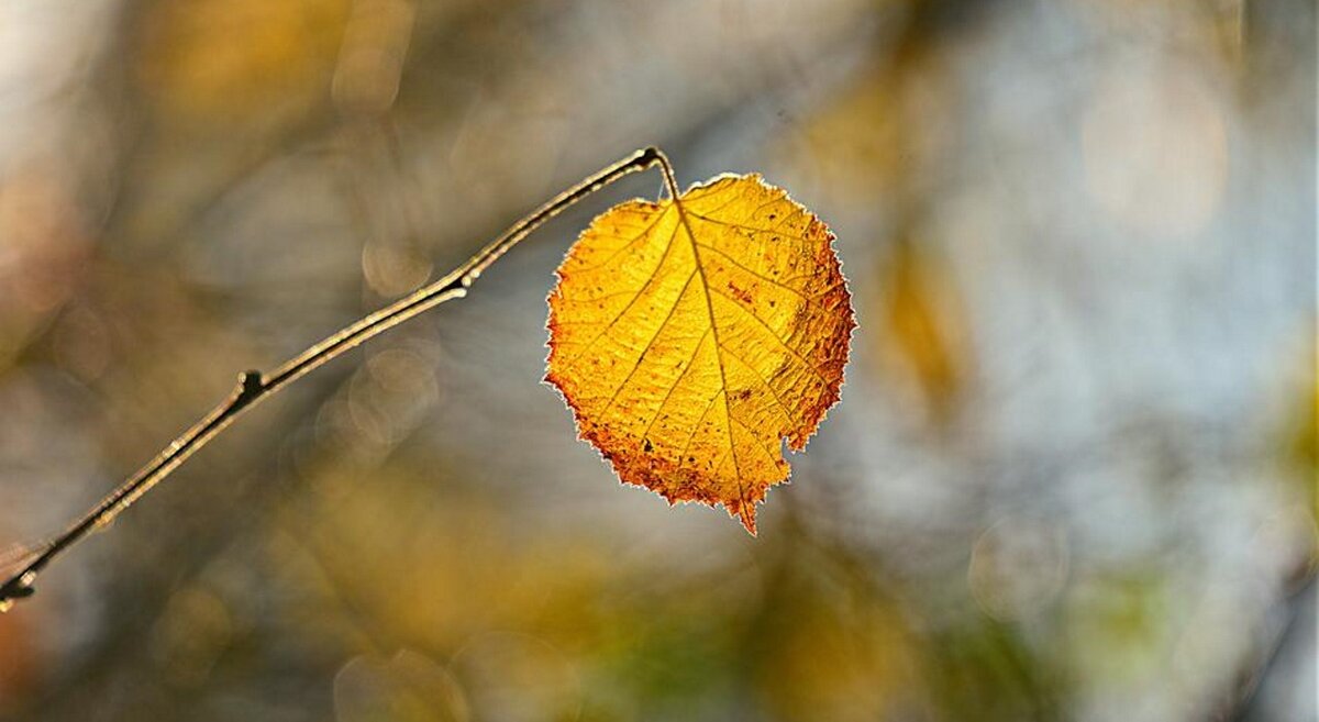    Прогноз погоды. Татьяна Пульная