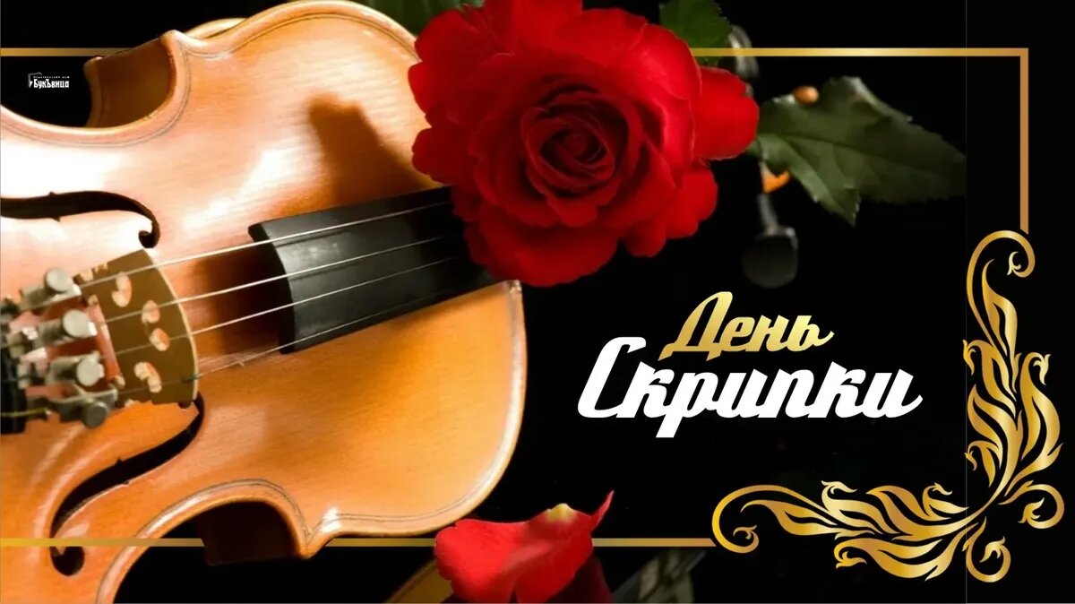 День скрипки. Иллюстрация: «Курьер.Среда»