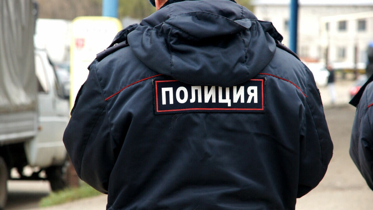     В городе-спутнике Волгограда пьяная волжанка украла собаку породы ши-тцу прямо на глазах ее хозяйки. Похитительнице грозит теперь до четырех лет лишения свободы.