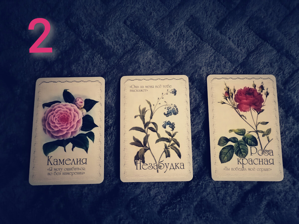 Moonlight oracle. Оракул цвет луны купить. Оракул лунный свет упаковка карт. Оракул цвет луны галерея. Оракул полнолуния купить.