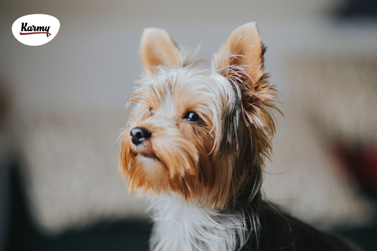 Авторское изображение с использованием картинки с фотостока "Unsplash"