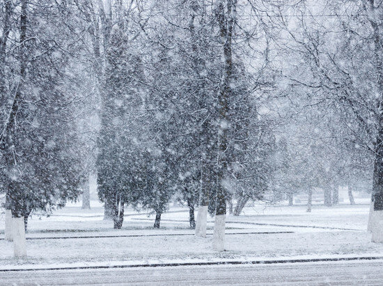     Фото здесь и далее: ПЛН