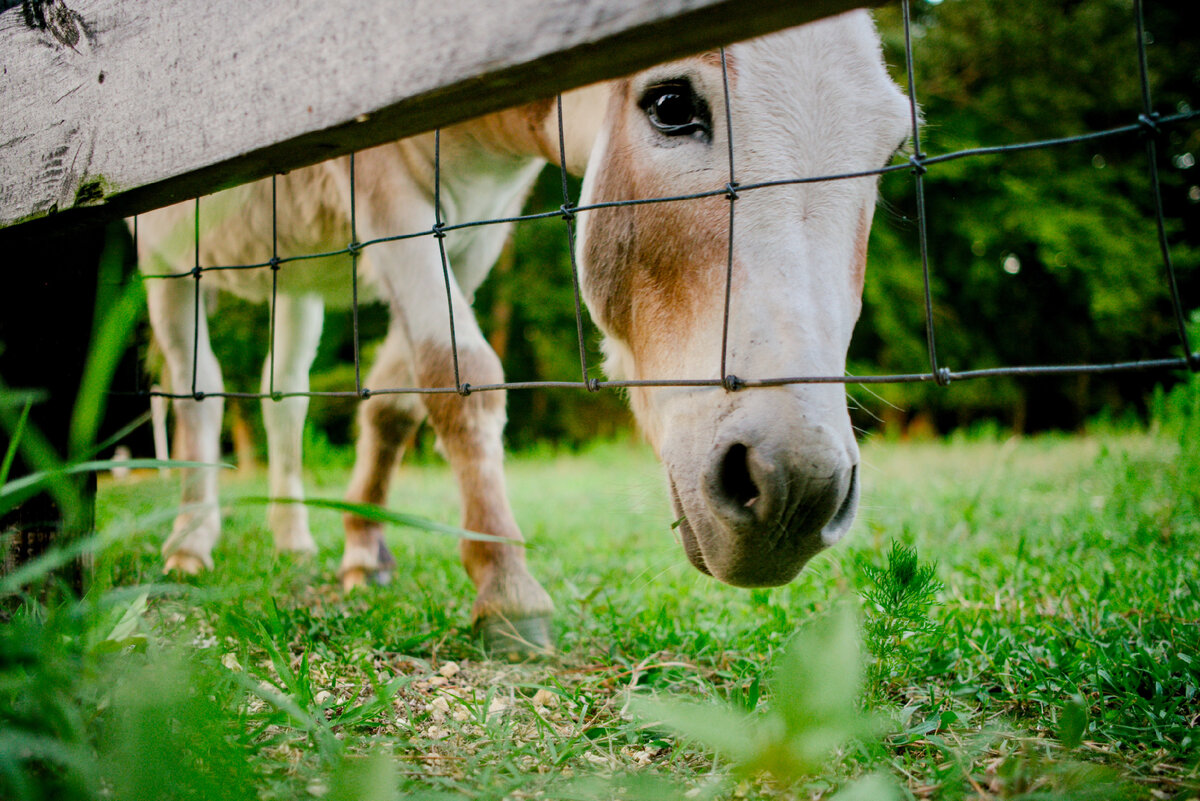 Фото Бо Карпентер на Unsplash