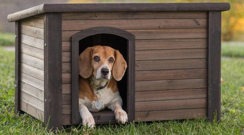Как сделать теплую будку для собаки: чертежи, фото