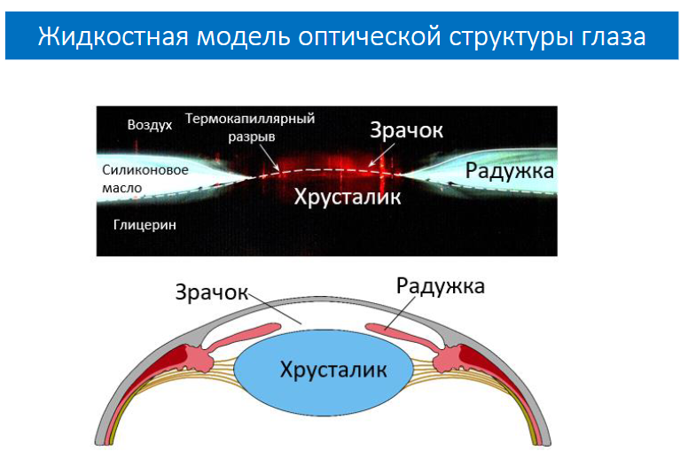 news.utmn.ru 