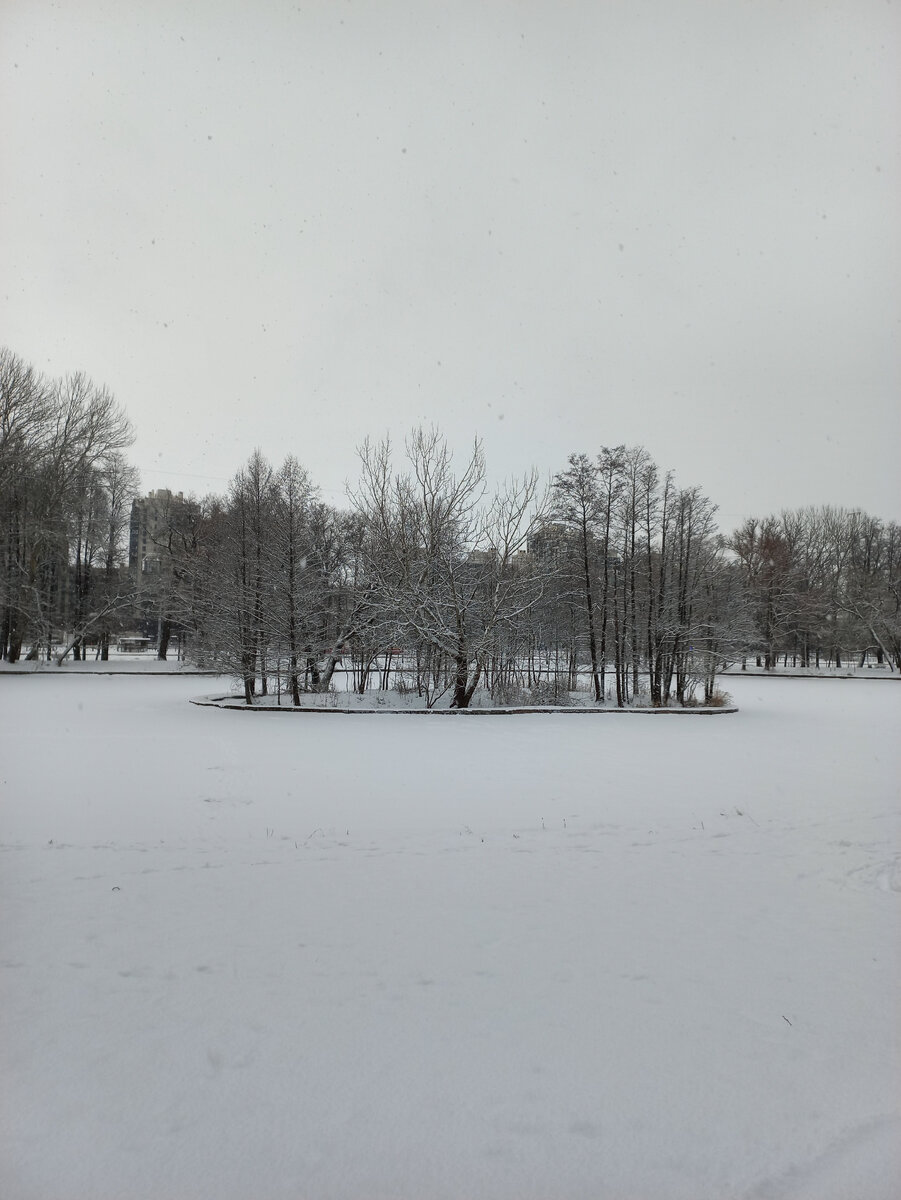 Пруд. 04.01.2023. Листайте.