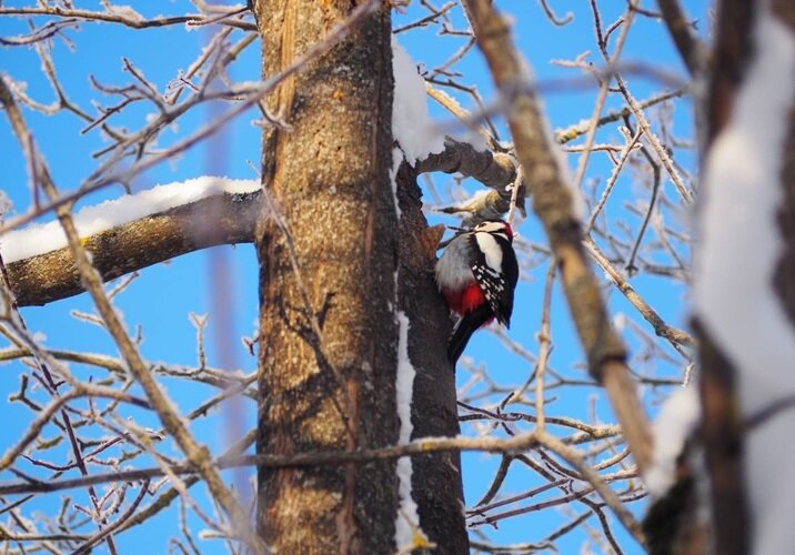 Автор - Михаил Куземка