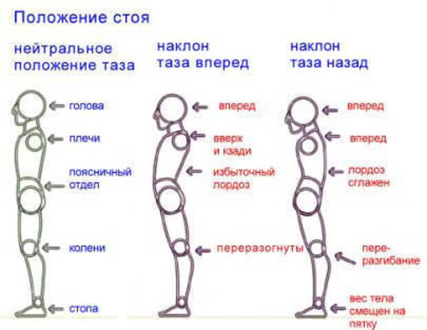 То назад то вперед ходит бродит пароход - загадки для детей -