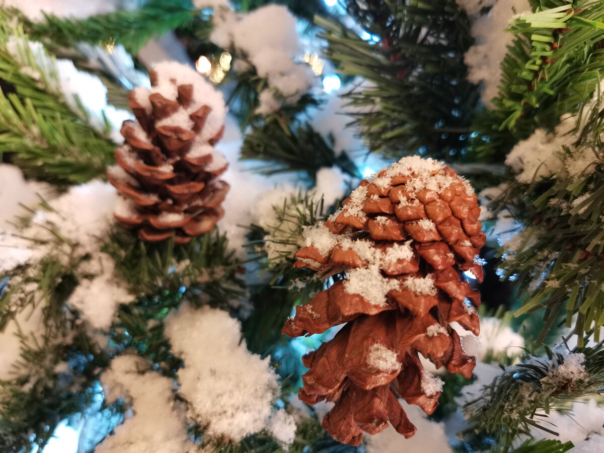 Фото автора канала 