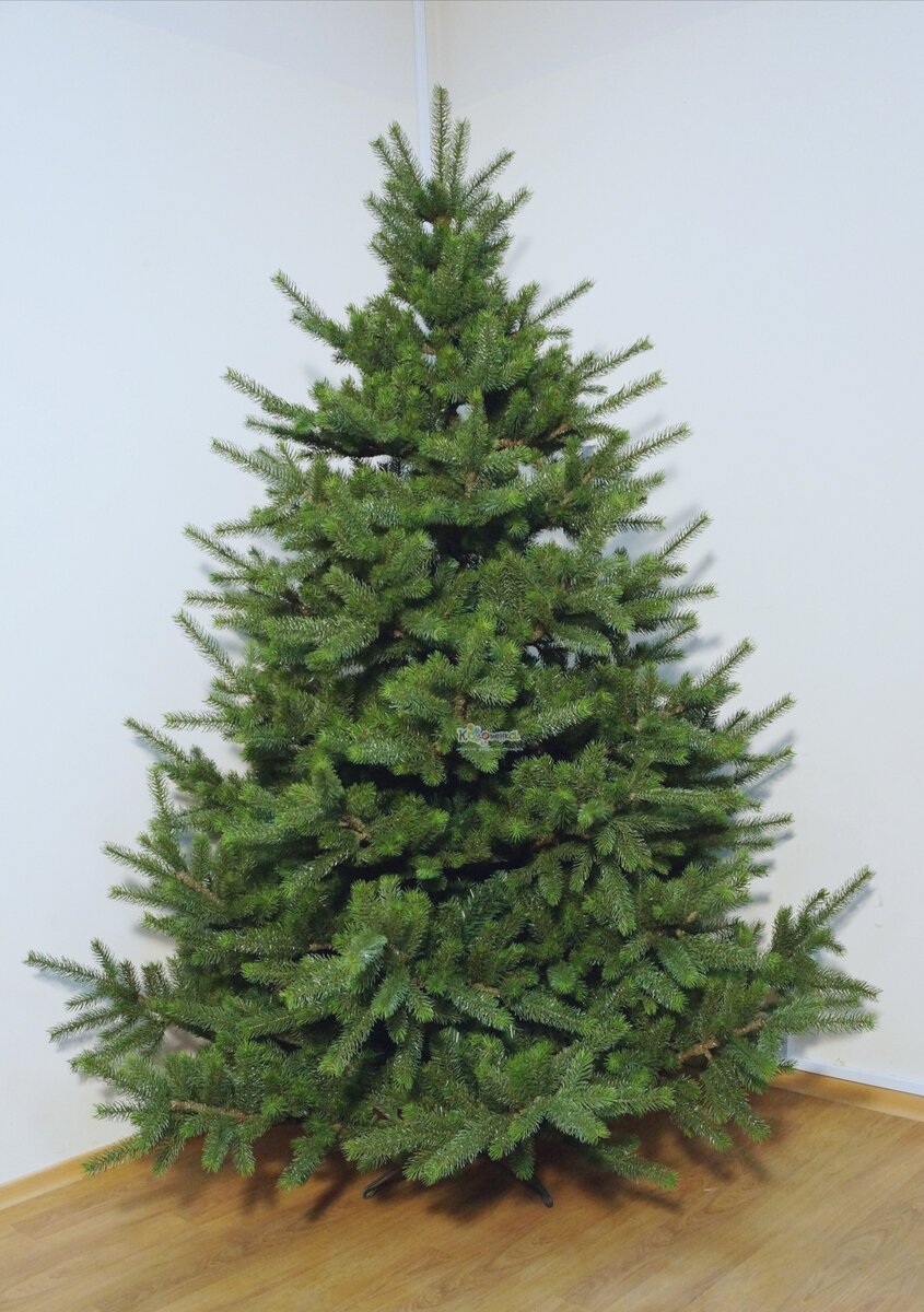 Фото из свободных источников интернета 