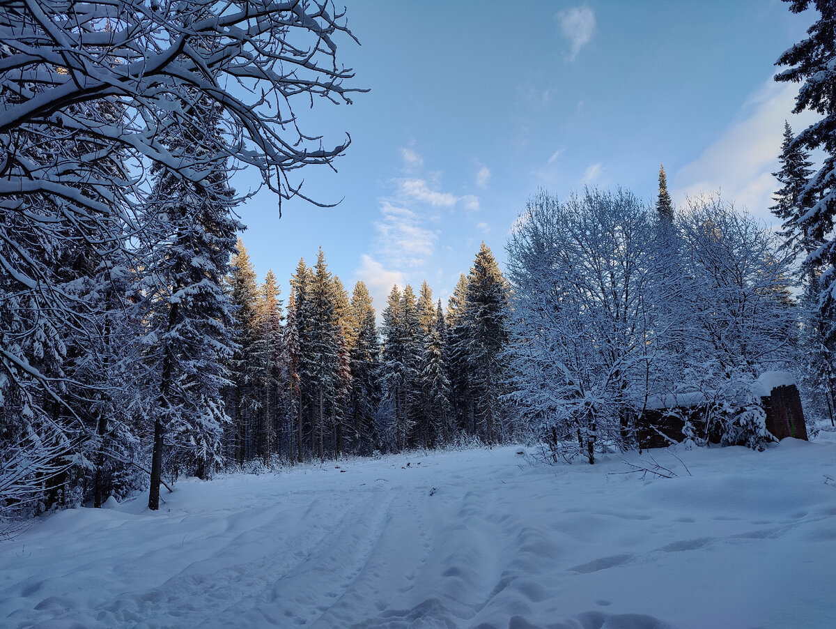 Как мало я знаю... | Фиона. Второе дыхание | Дзен