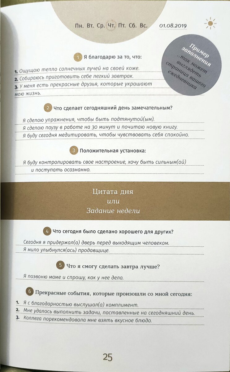 Пример заполнения ежедневника 