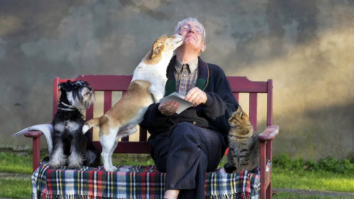 источник фото: dzeninfra.ru