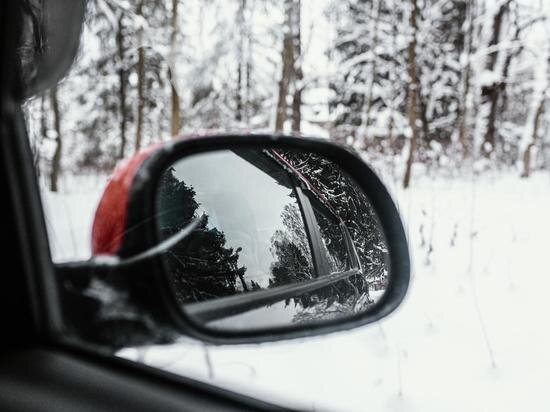     Фото: freepik.com