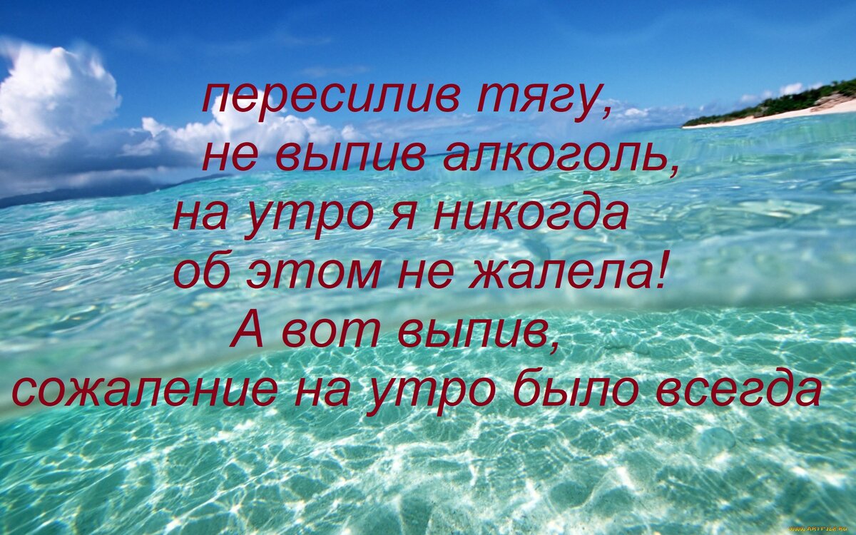 Любой трезвый вечер лучше утренней абстиняги. | записки алкоголички | Дзен