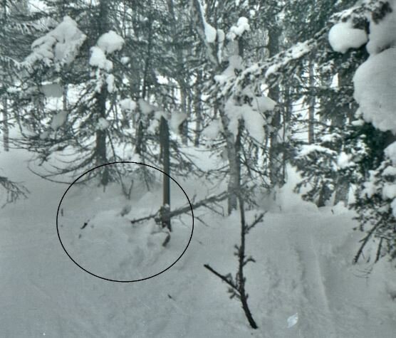 Что бы это ни значило!