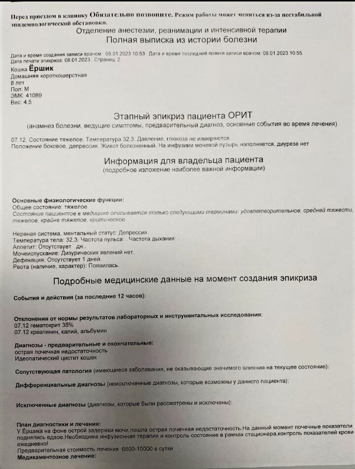Галерея листается