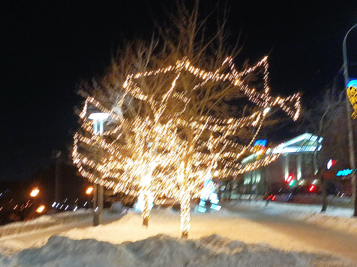 Люблю, когда деревья в гирляндах.. 