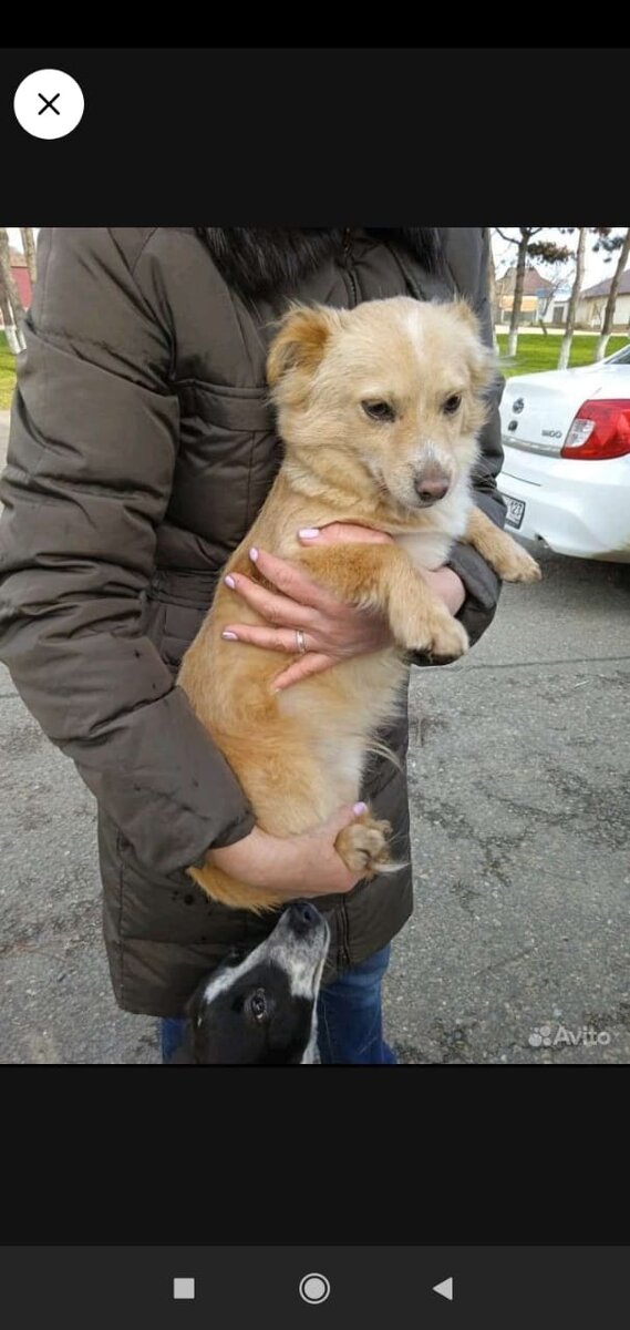 Сегодняшний везунчик. 