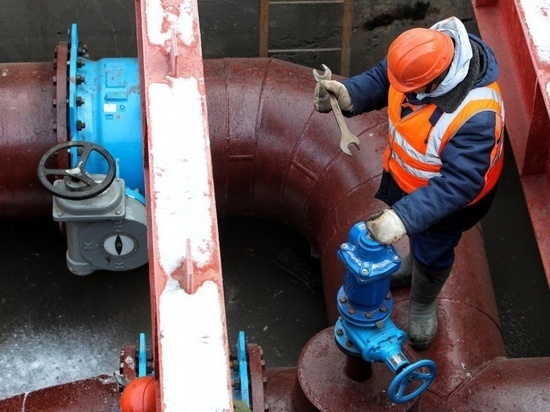     Фото: мэрия Томска