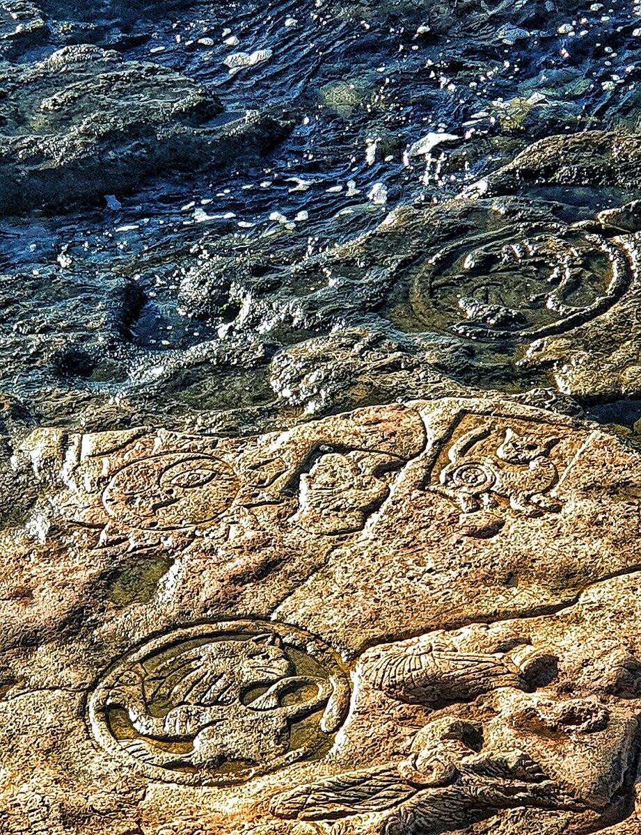 🔮Искусство и море в Казачьей бухте🌊 | ЖИЗНЬ С ВИДОМ НА МОРЕ🌊 | Дзен