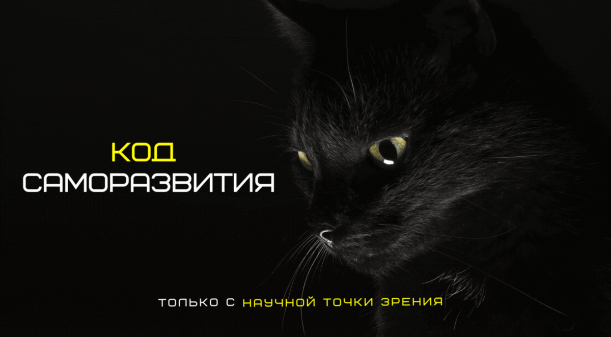 Добавьте описание