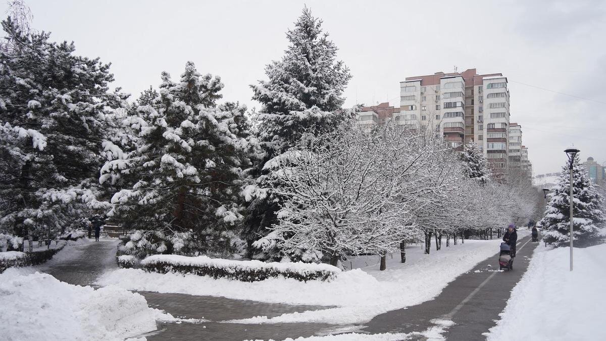    Заснеженные улицы Алматы:NUR.KZ/Владимир Третьяков