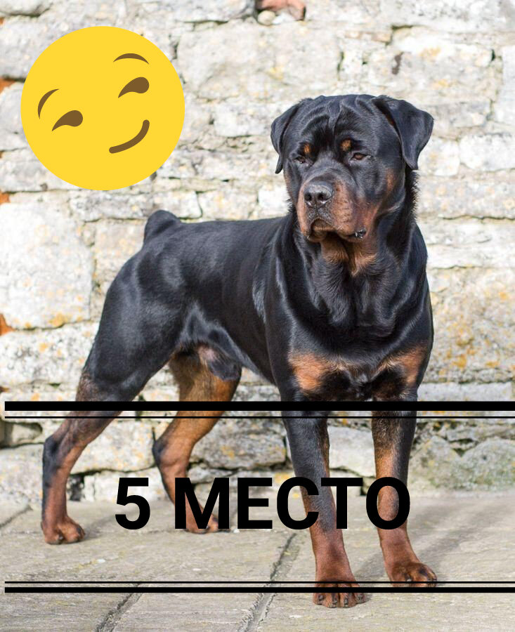 Фото взято из открытых источников.