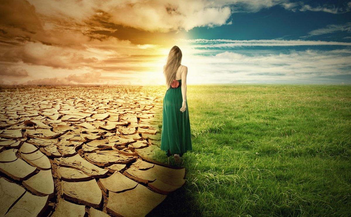 Из сети Интернет