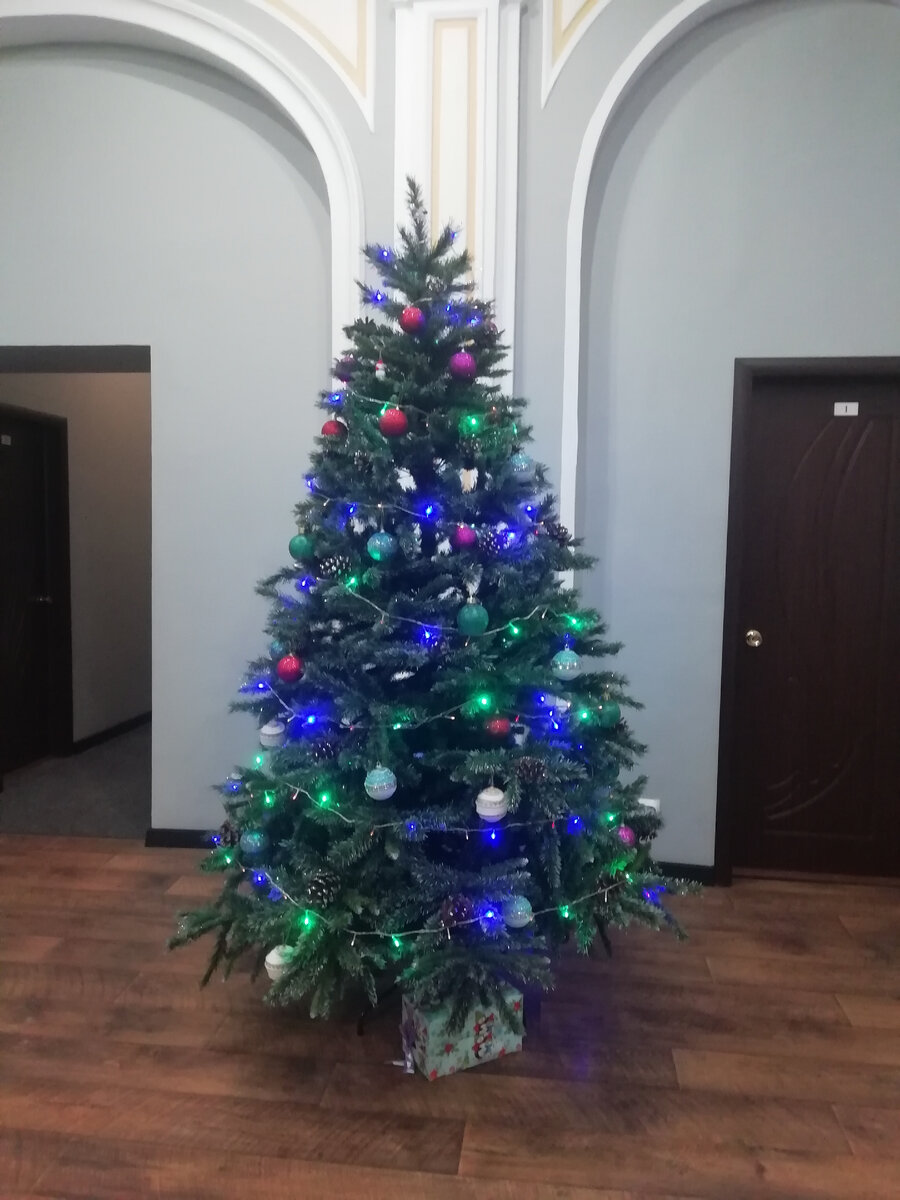 Елочки. Фото автора.