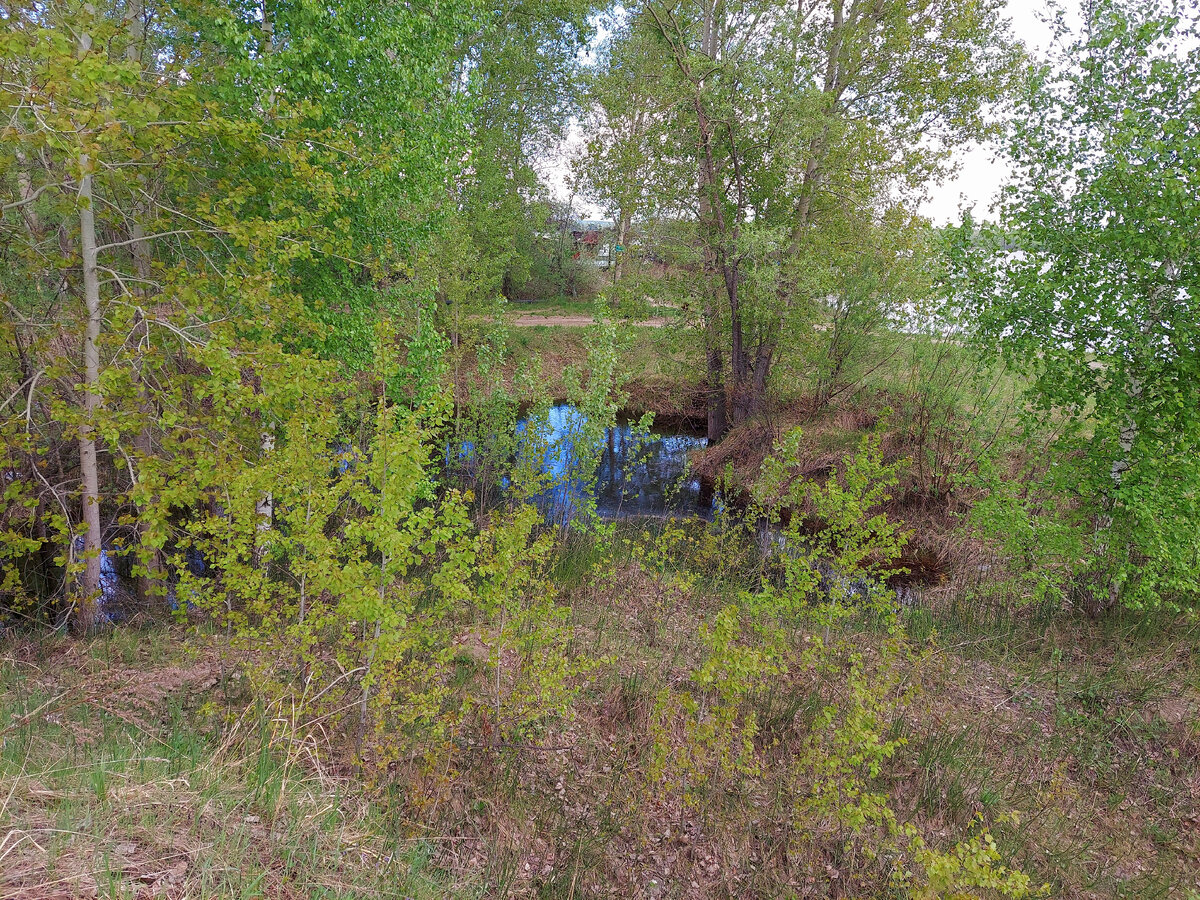 Автор фото Наталья Мвзняк