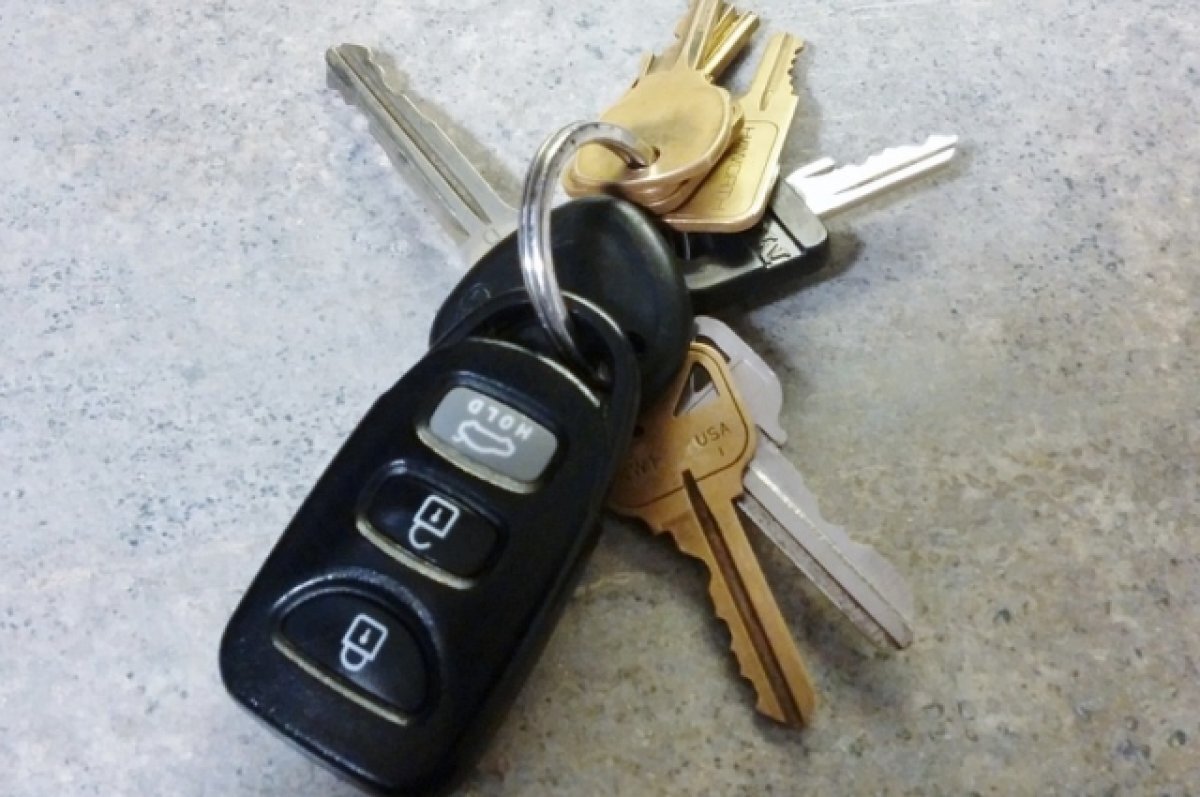    Двум подросткам вынесли приговор за угон автомобиля в Нижнем Новгороде