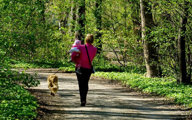 Не гулять с собакой невозможно, она выгонит вас на улицу вне зависимости от лени. Фото Sabine/Pixabay
