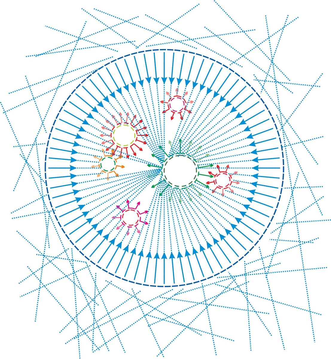 Схематическое отображение хаоса движения вихрей-струн электростатики и магнетизма эфира в вакуума и область инерциальной системы гравитационно связанных объектов вещества, где отражена только та часть  потоков вихрей=струн эфира, которая направлена снаружи в центр этой инерциальной системы.